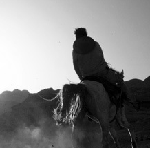 【软件使用教程】图文详解的攻击网站的方法